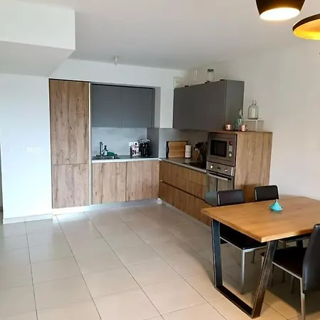 Apartament Pessicart - T2 Avec Terrasse - Avec Piscine Nicea